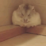 [모두드루와] 아무리 봐도 <b>요번</b> 프듀