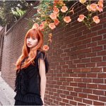 블핑 블랙핑크 <b>리사</b>