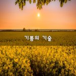 <b>기쁨</b>의 기술~