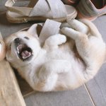 [드루와] 고딩 <b>첫시험</b>