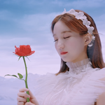 <b>고양</b> 외고 갈 수 있을까?