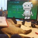 [댓글부탁해] 남친 내가 <b>첫</b><b>여친</b>이라는데 귀여움