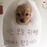 나 진짜 울 뻔 했어..