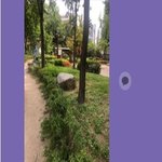 [꼭조언부탁] [사진첨부][혐오 주의]선넘은 유기견 <b>수색</b>방법