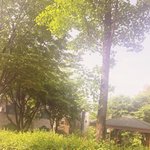 [조언부탁해] 얘두라 ㅠㅠ 쿠션 하는 법좀 <b>젭알</b>...