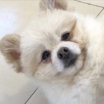 [조언부탁해] <b>무리</b> 중에 한애가 나 못생겼다고 하는데