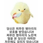 [댓글부탁해] 다들 <b>체대</b>때 무슨 머리 할거임?