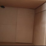 [조언부탁] 화가 납니다-택배와 같이 온 엄청난 바퀴벌레