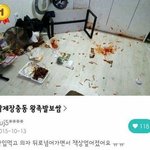 와 8키로 차이가 많이 나네