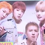 [위너] 아 너무 <b>기여워</b>ㅠㅠㅠㅠㅠㅠㅠㅠ