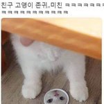아 <b>이너</b>컨츠 부었음 개아픔