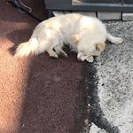 몽고<b>주름</b> 심한지좀 봐줘
