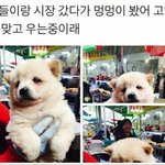 [댓글부탁해] 호감 이미지 어케 만들어 얘드라