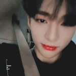 다들 <b>각자</b> 최애보고 힘내자 ^-^