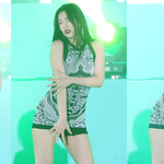 <b>폭죽</b>에 놀란 조이