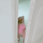 [댓글부탁해] 모솔인데 막 <b>안</b>끌려도 <b>사</b>궈보는게 좋아?