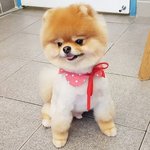 아기곰을 분양 받았어요 :D