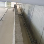 [이것좀봐줘] 길고양이를 살려주세요