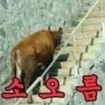 [댓글부탁해] 교정 와이어 끊어졌는데 어떡해?