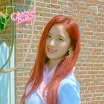 포스터 지원 메이