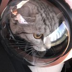 예쁜이 <b>라라</b> 보고가