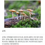 [모두드루와] 논란이 되고있는 <b>무식</b>판별기