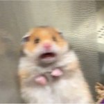 너네 <b>무리</b> 친구가 왕따였다면 어떨 것 같아