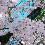[댓글부탁해] 우리 <b>반</b> 남자애 너무 싫어..