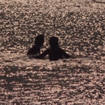 [ㅈㄱㄴ] 나 ㄹㅇ <b>개청</b>순한거같음