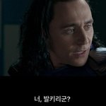 성격 정반대인거 티나는 토르 로키