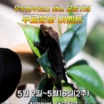 [댓글부탁해] 허무무님의 <b>크레</b> 레게 파충류 이벤트 인스타그램