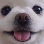 재회 해 봤던 사람있어 ?
