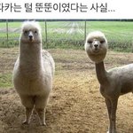 (<b>미방</b>) 나 다리에 여드름 난 거임??????