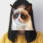나 <b>허쉬</b>컷 할까?