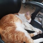 우리<b>사무실</b> 홍대리~^^