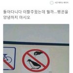 [댓글부탁해] 얘들아 이<b>팝송</b> 아는사람ㅈㅂ..