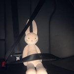[EXO] <b>코튼</b>스타ㅋㅋㅋㅋㅋ 토끼보고 벨트매래ㅋㅋㅋㅋ