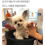 짝남 있는 애들아 이런거 설레지 않아?ㅜ