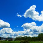 [드루와] 영어/스페인어 노래 추천!! 들어와