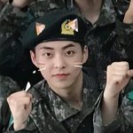 [EXO] 어플돌린 과질에 고양이 씌웠다ㅠㅠ