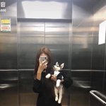 [드루와] <b>한손</b>에 안기던 댕댕이가