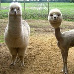 [댓글부탁해] __ __ 기숙<b>산데</b>  변기막힘__