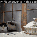 [댓글부탁해] 패고나서 <b>cctv</b> 있는지 확인하는거봐