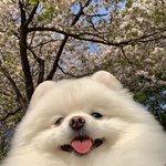 [드루와] 너네 이상형 골라봐
