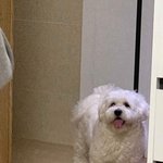 [드루와] <b>뱅</b> 앞머리가 찐따같아??