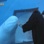 [EXO] ⬇️<b>밑글</b> 헛소리 댓글이랑 여기서 봐