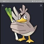 별빛아 <b>파로</b>