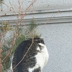 [댓글부탁해] 동아리 선배한테 카톡 자주 보내면 싫어하시니ㅜㅜ 완전...