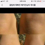 [댓글부탁해] 호불호 없는 <b>마카롱</b> !!!!