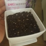 호냥이 오늘또